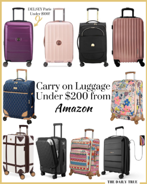 The Carry-On Luggage that Sold in June - The Daily True