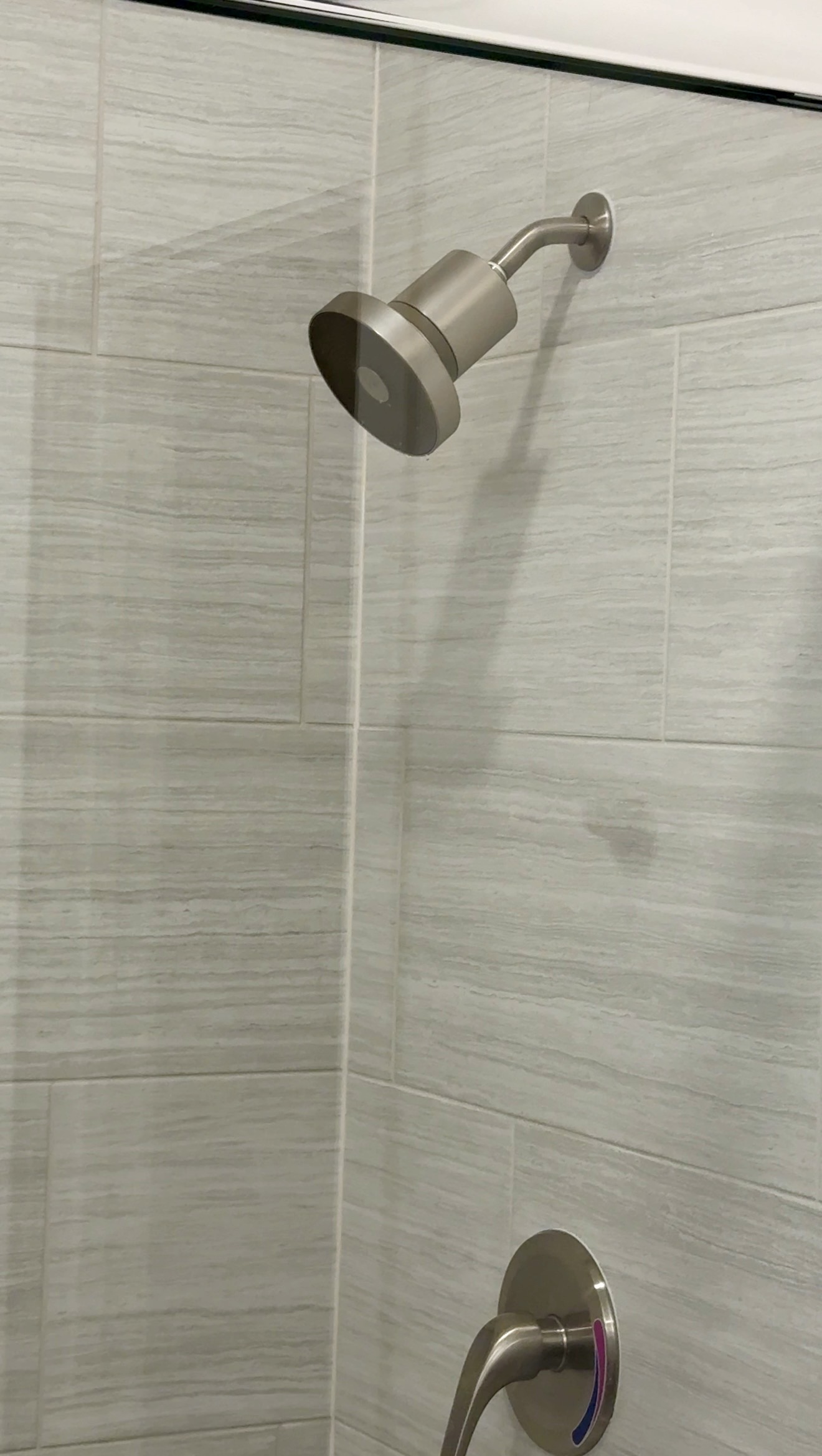 Jolie Showerhead in shower